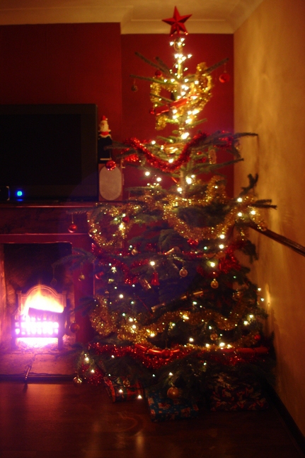 What a Lovely Tree